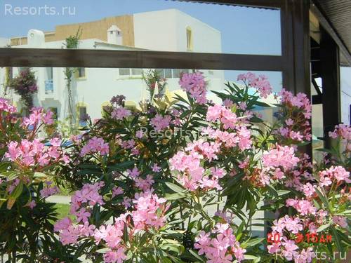 Ilknur Apart Hotel 2
